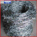 hot dipped galvanized barbed wire for fencing